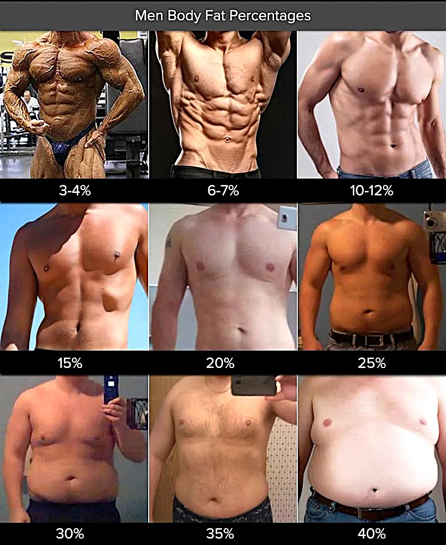Porcentaje de grasa corporal en hombres